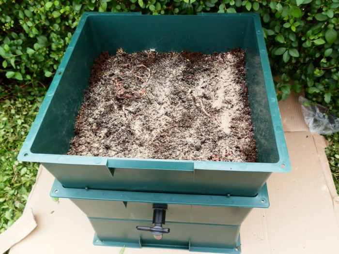 How to Set Up a Worm Composting Bin (With StepbyStep Photo Guide