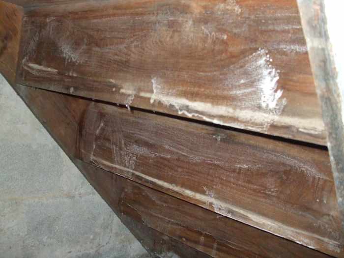 When it dries, it will look much more white.