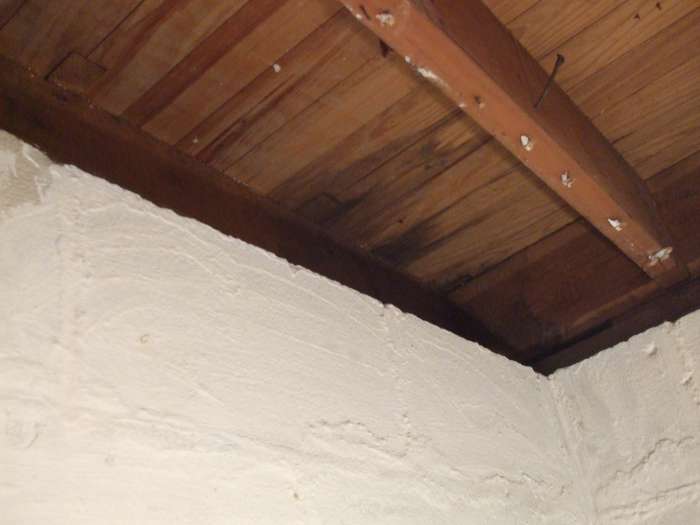 Flooring with black mold after it has been brushed and HEPA-vacuumed.