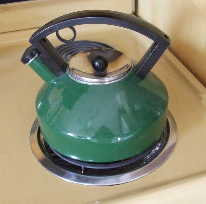 How to Treat a Mold Infestation on Wood With Borax 20 Mule Team Powder