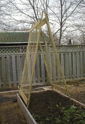 Go vertical in the raised bed to get the most productive garden possible.
