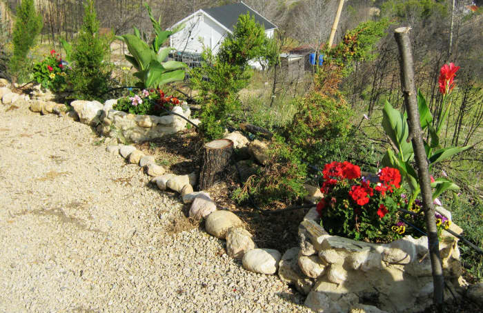 I built these planters in the spring to beautify the side of the track leading to my villa after a wildfire burned everything to the ground.