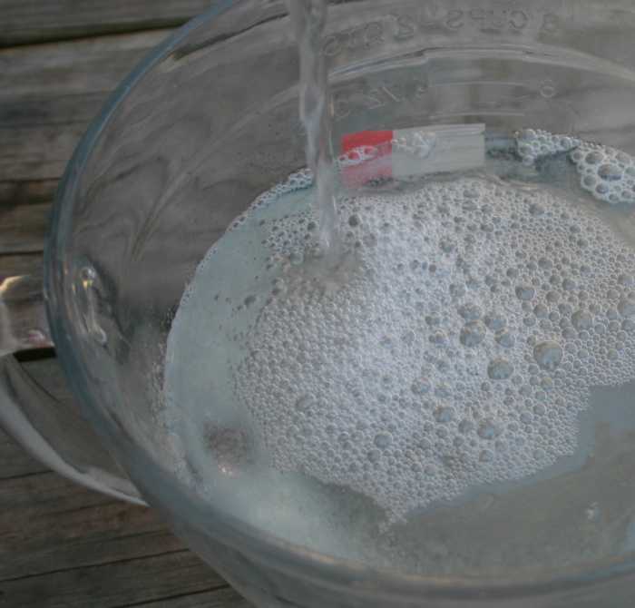 Knox Gelatin Fertilizer for Houseplants Dengarden