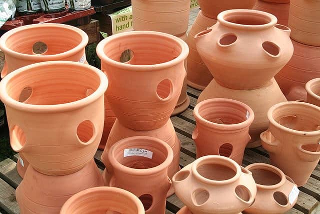 You can have several plants at the same time. Quite practical!