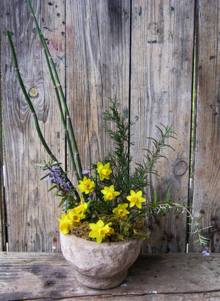 This arrangement also includes rosemary in flower, horsetails, and some sphagnum moss.