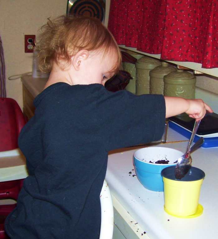 Planting a daisy seed kit for kids.