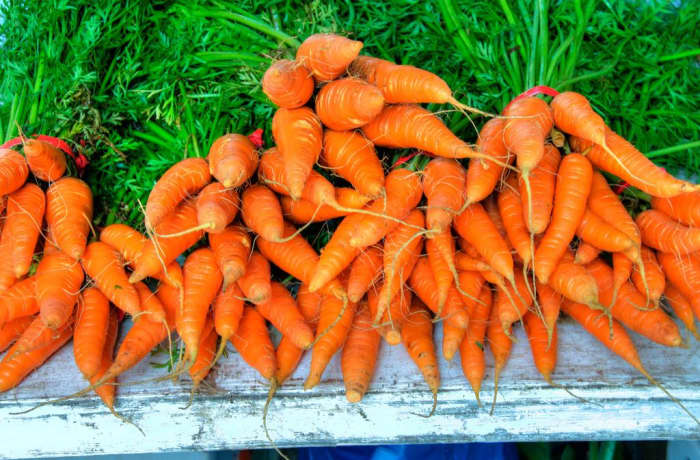 Carrots are an excellent vegetable to plant in summer, and they will happily grow in the shadows of taller companions.