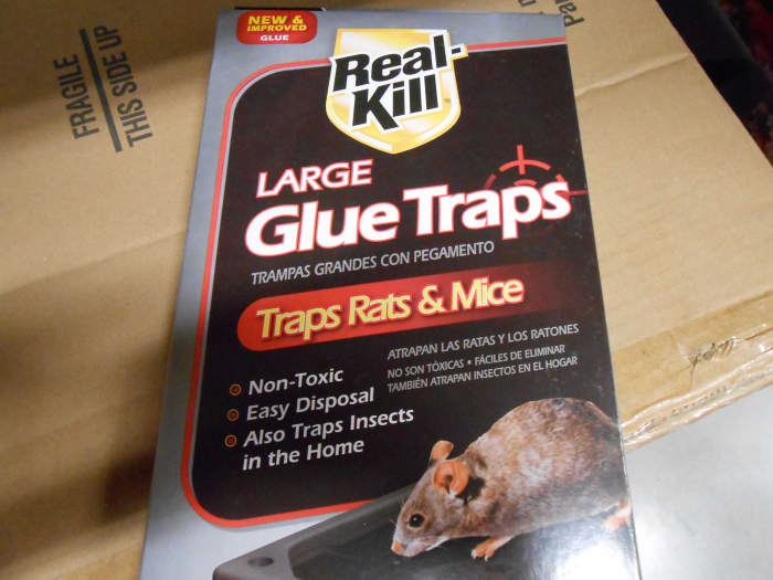 Glue board traps are available in a few different sizes and some have a peanut butter scent to lure mice.