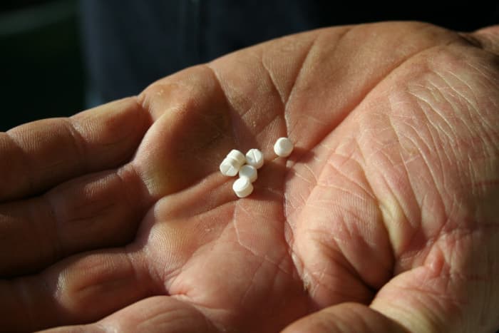 Stevia extracts in tablet form: Much less appealing than a handful of fresh or dried leaves.