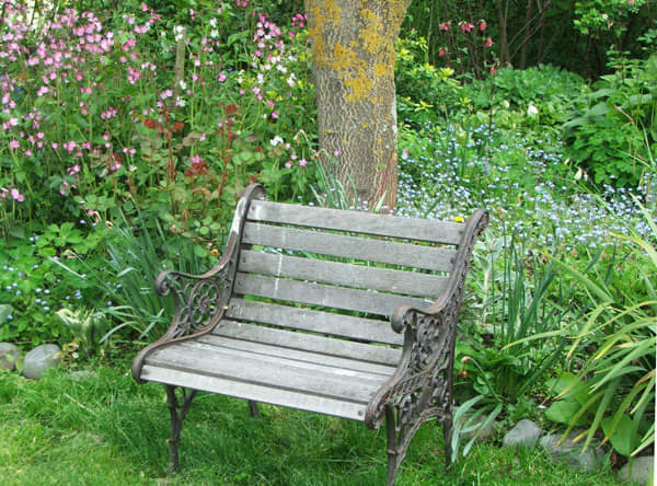 Once your garden is established, place a comfortable garden seat in a cosy corner with a tranquil view of your garden and sit and ponder your creation.