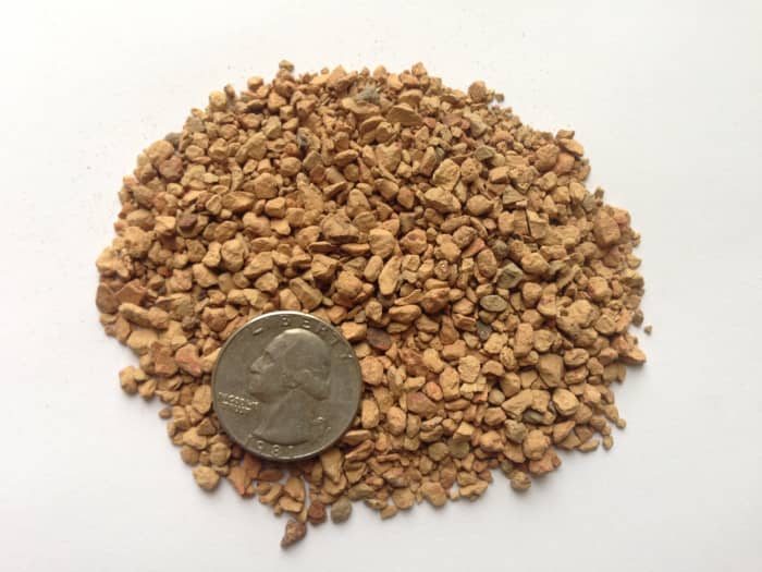 Turface, very similar to akadama, is also a high fired clay. Notice the size comparison next to a quarter.