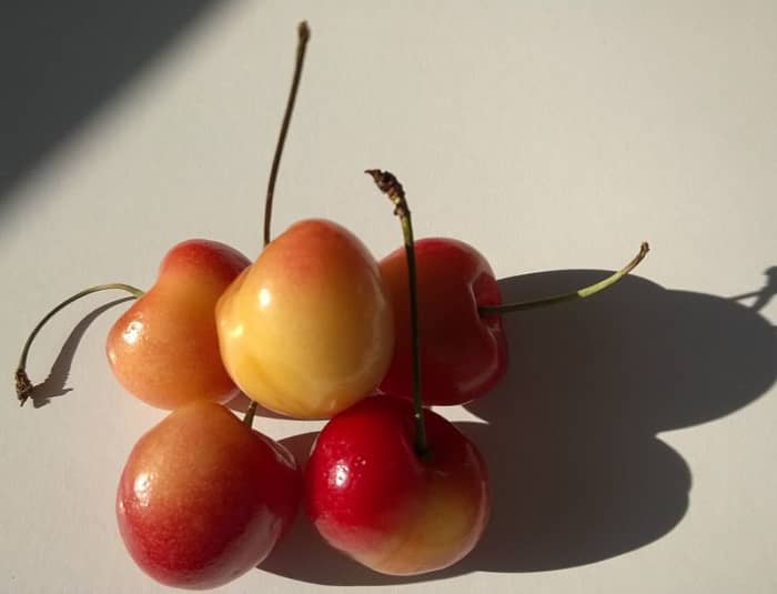 Rainier cherries from the state of Washington, USA