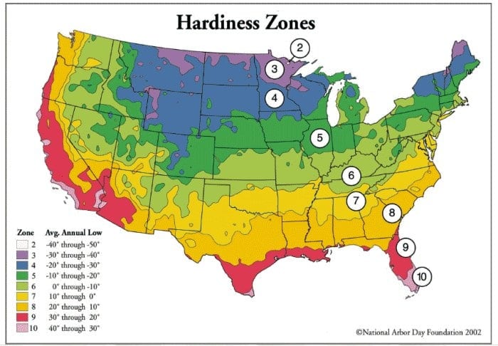 Locate prime areas to grow Mimosa. These trees grow best in Zones 6 through 9.