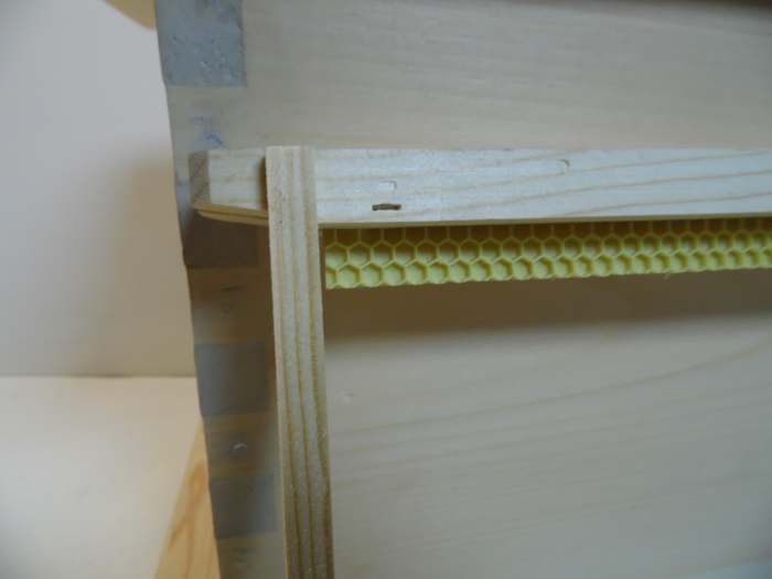 Wooden frame with starter strip of foundation.