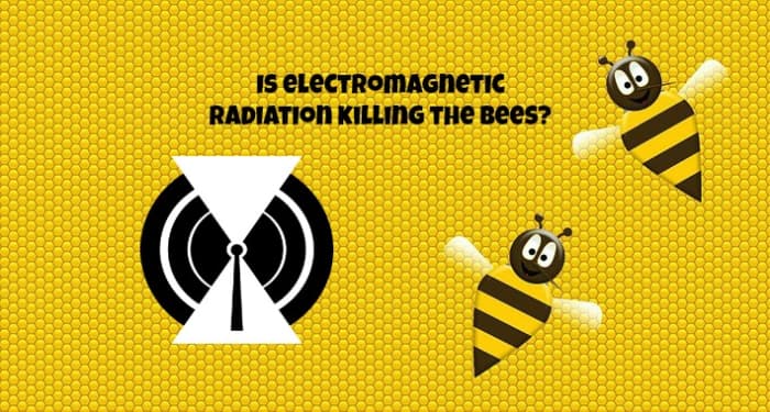 Electromagnetic radiation may be contributing to the death of honey bees and to colony collapse disorder.