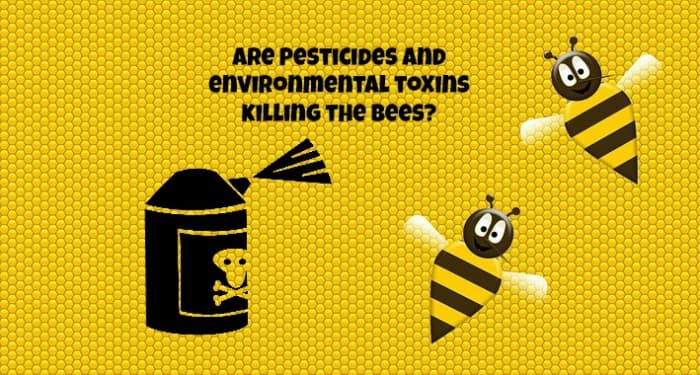 Pesticides and environmental toxins might be contributing to the death of honey bees and to colony collapse disorder.