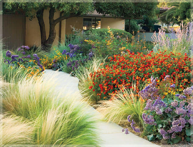 This garden uses feathery ornamental grass, lantana, Russian sage, and statice.