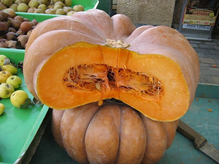 Musquee de Provence pumpkins offered for sale at a farmers market. Because of their size, they are often sold by the slice rather than whole.
