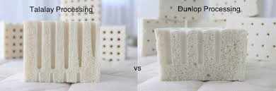 Dunlop vs Talalay methods with latex