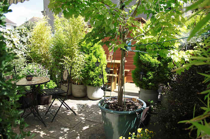 small-garden-makeover