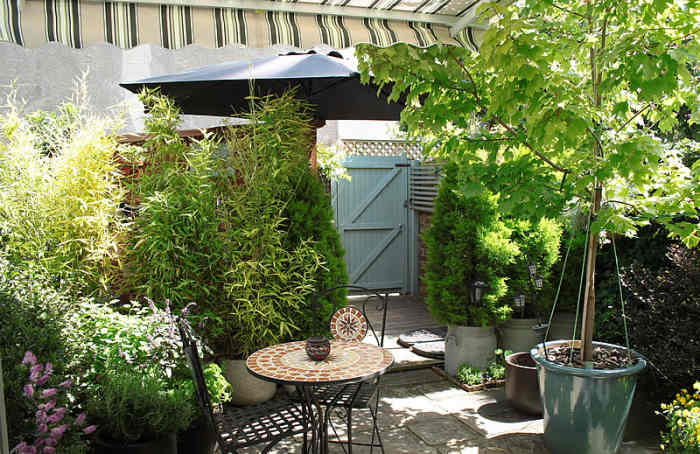 small-garden-makeover