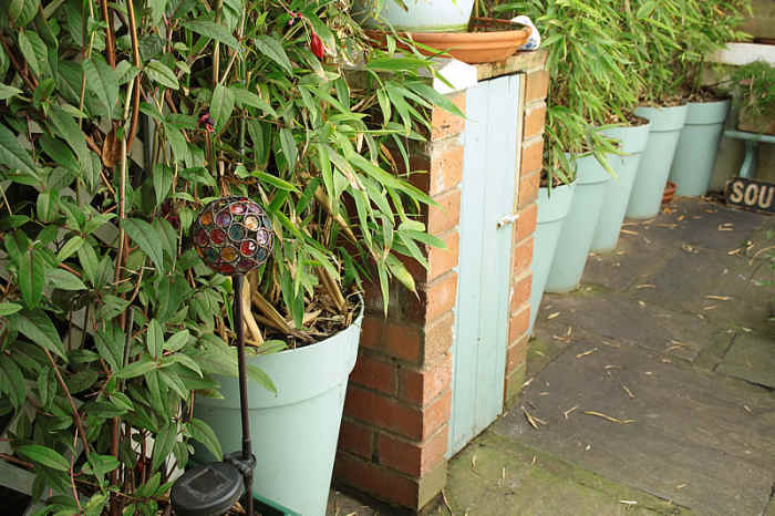 Small cupboard in side return.