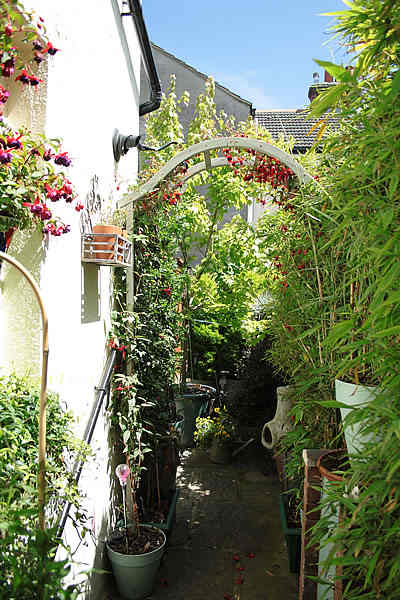 small-garden-makeover