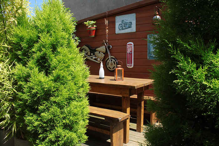 Shed screening with small trees.