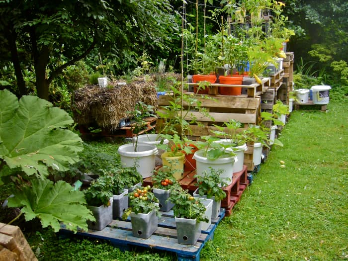different-types-of-gardening-for-homesteaders