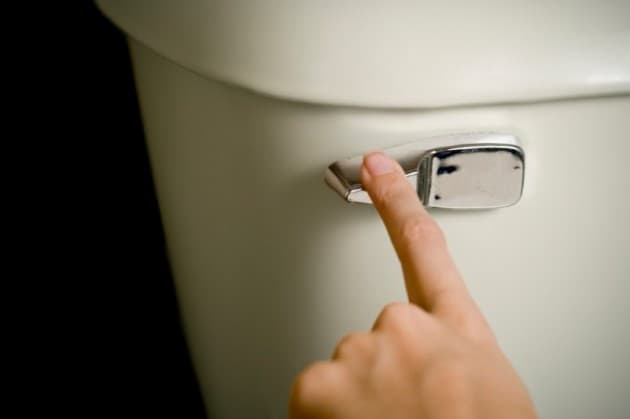 If the handle doesn't start the flushing process, there could be a problem with the water in the tank, the float, or the flapper.