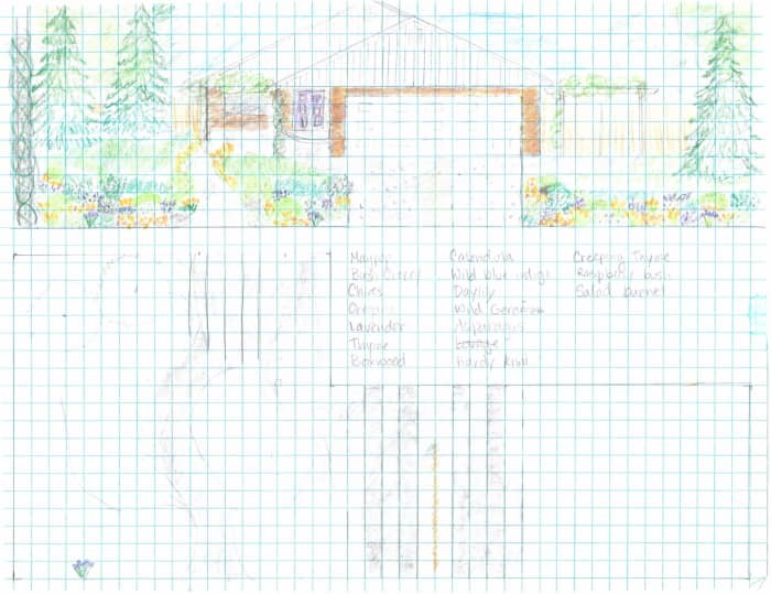 Of the many plans I made up. This is closest to what I eventually settled on, except I placed almond and elderberry where the large conifers are in the drawing.