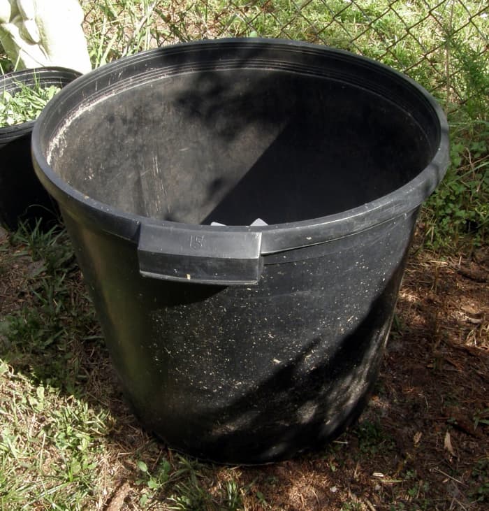 Put about six inches of potting soil on the bottom and stick your seed potatoes in the soil. In this sized container, you can plant about three potatoes.