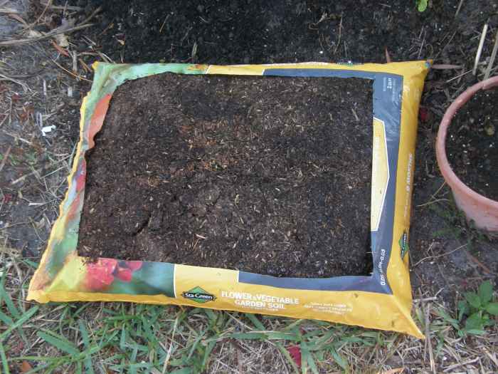 How to Plant a Quick and Easy Garden in Bags of Soil Without Digging