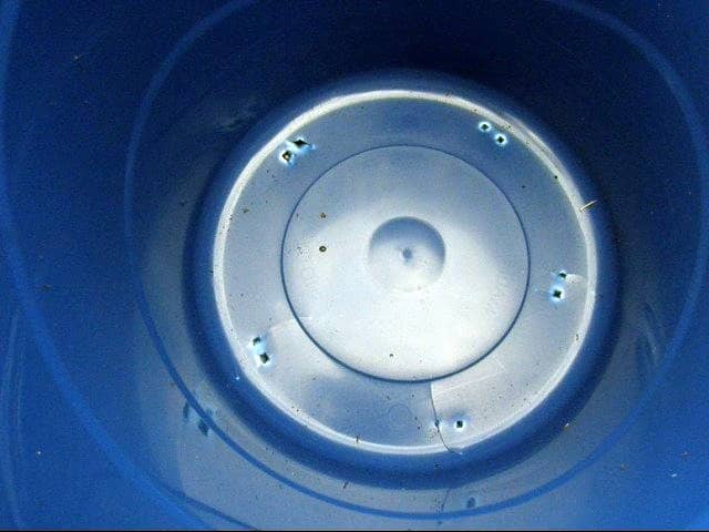Make drainage holes in the bottom of a large plastic pot that is at least 20-inches deep and 20-inches in diameter.