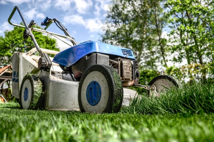 A mowed lawn means less places for a snake to hide. The vibrations of the mower will also scare them away momentarily.