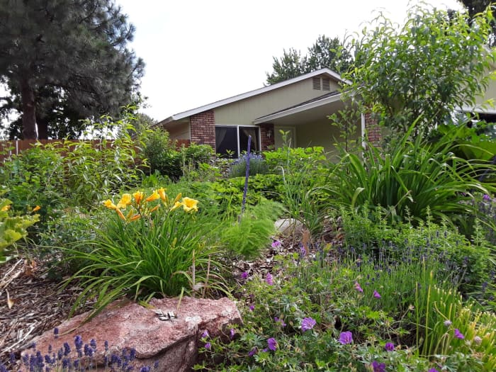 I use garden probiotics throughout my yard. They really help with transplant shock and boost growth.
