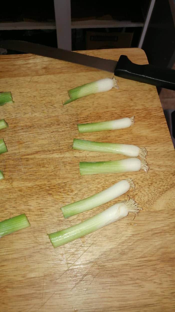 Step 2: Cut off the stems. Be sure not to damage the stem or roots. This is the part that will enable the growth.