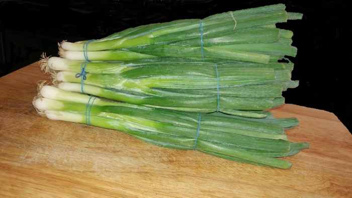 Onions grow the best with plenty of water. Winter also provides rain for crops.