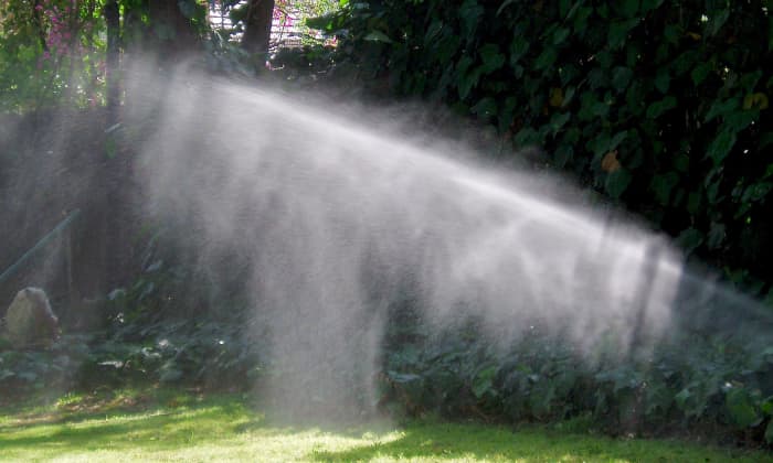 Rotary sprinkler heads are best to use for medium and large turf areas. Because they rotate, they give the soil time to absorb water, before the rotation comes back again.