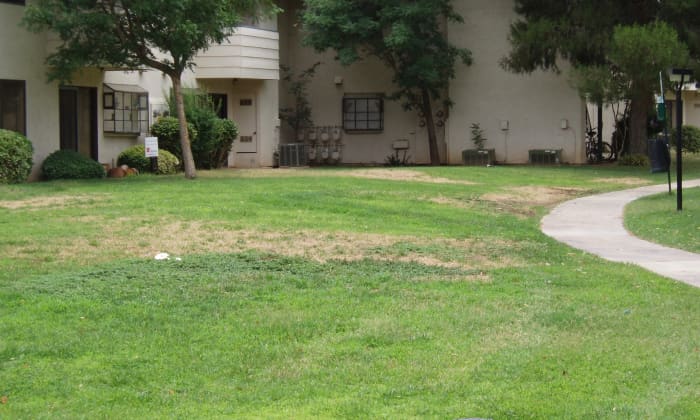 The HOA sprinklers were set on weird schedules that worked for shady, but not sunny areas. Leaks were not fixed. Because sprinklers from different stations watered the same lawn, they could have been set differently for extra sunny spots.