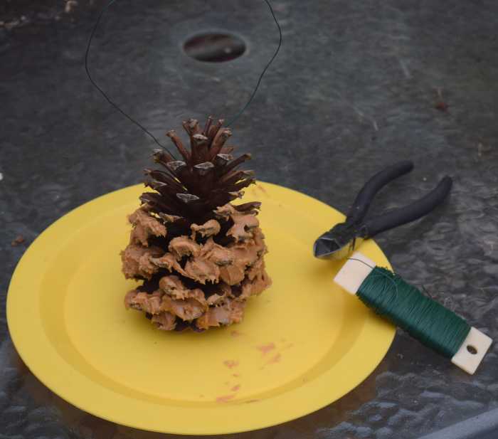 Simple pine cone feeder using peanut butter. Florist's paddle wire and wire cutters are on the right.
