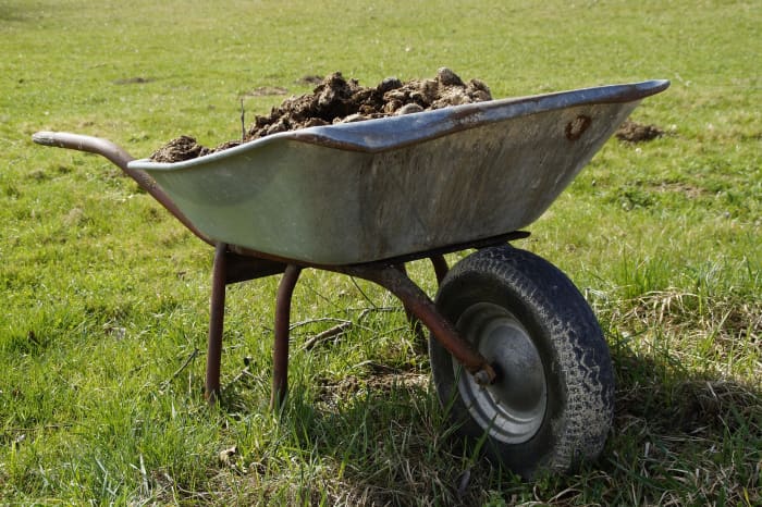 do-i-need-to-dig-my-vegetable-plot-or-allotment-every-year-dengarden