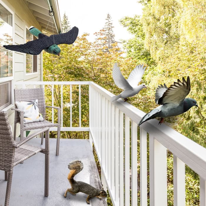 Patio Bird Repellent at Valerie Loftis blog