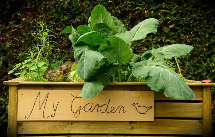 Even a small above-ground garden can provide big results.