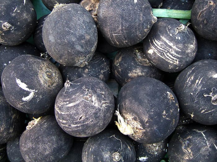 Spanish Radishes are black on the outside and white on the inside. They have the same spicy flavor as the familiar red radishes.