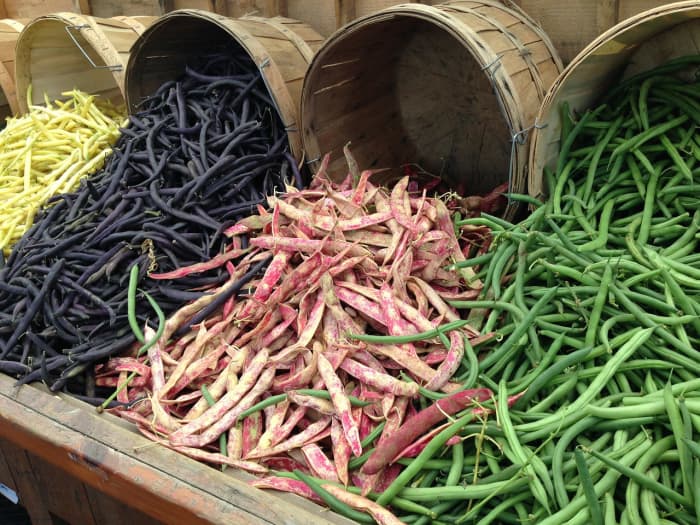 Beans are one of many Vegetables that grow well when planted in spring.