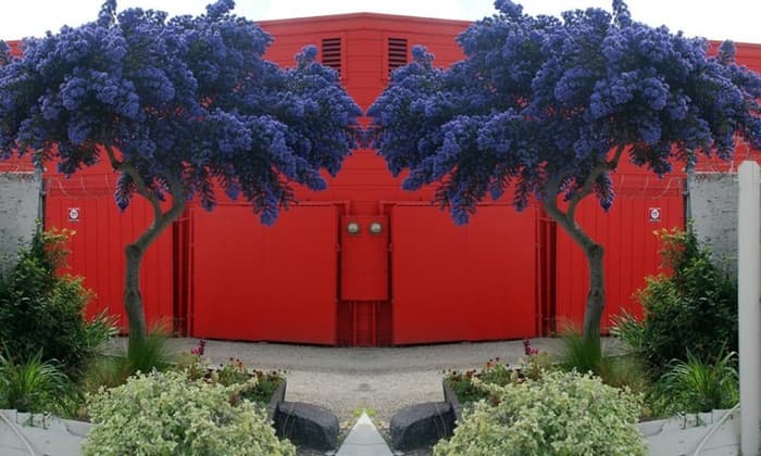 Deux lilas californiens à feuillage persistant peuvent faire une excellente première impression pour votre maison ou votre entreprise. En fait, ils font bonne impression partout où ils sont plantés.