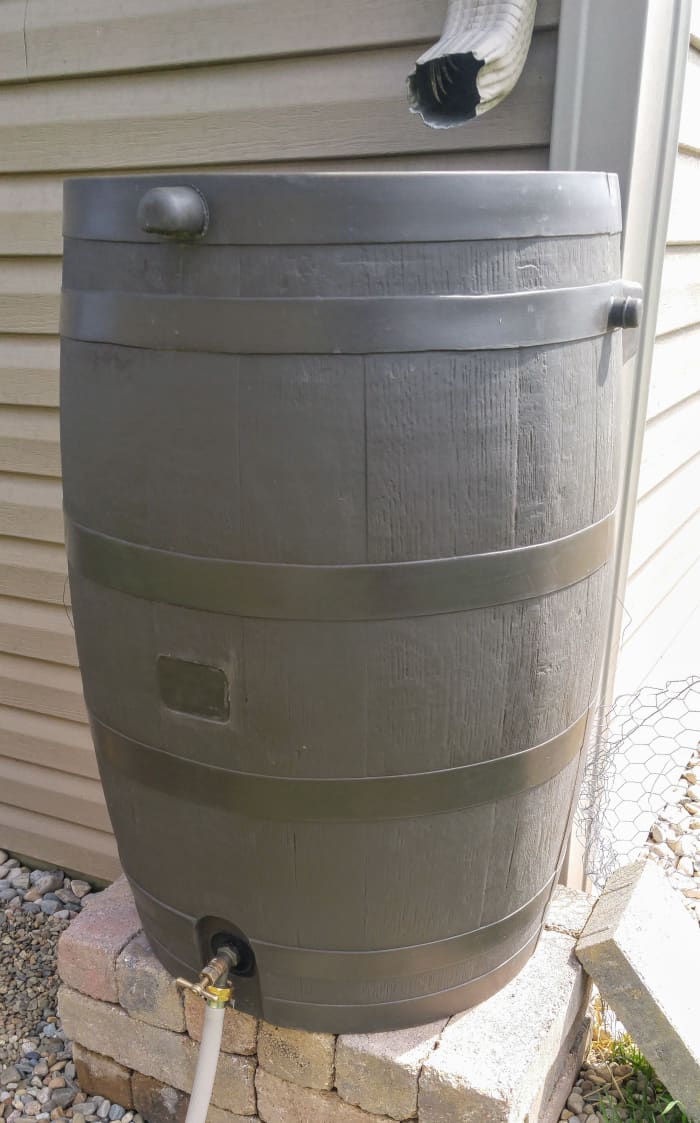 Using a rain barrel with a flat back allows it to sit closer to your home. It's a great feature for a small scale homestead.