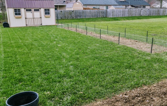 A small-scale homestead helps you increase your self-reliance, lets you eat fresh produce, and gives you a great sense of accomplishment.