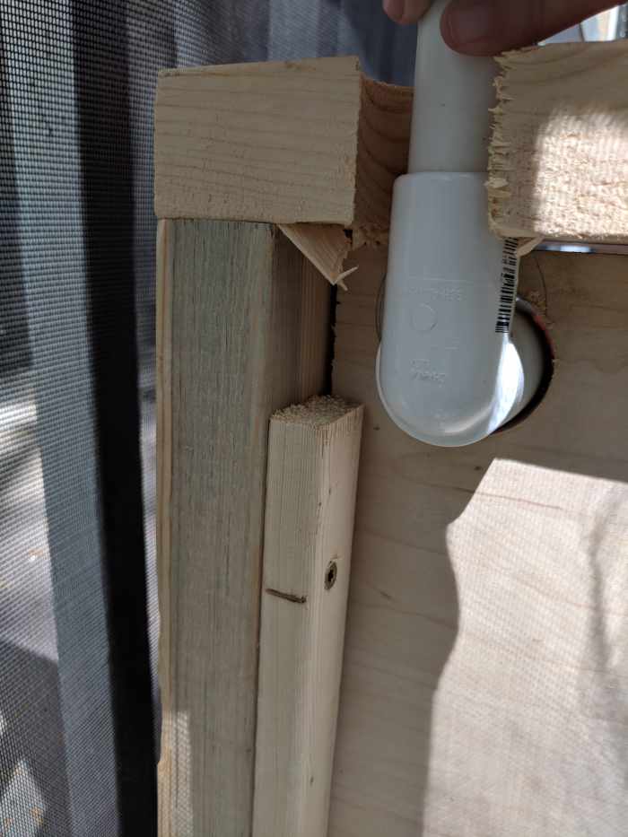 How to Build a DIY Patio Potty for Your Dog Dengarden